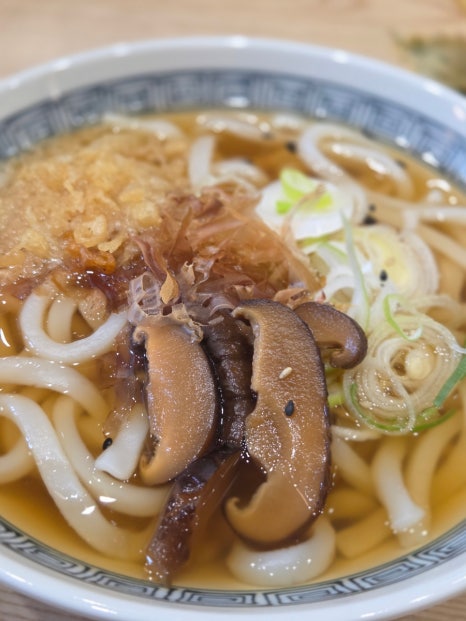 우동키노야 신촌숲길점 홍대 서강대 일식 맛집 가격 후기