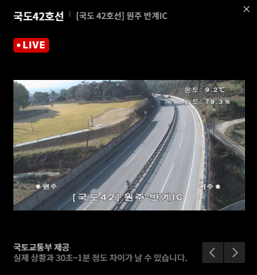 2025 원주 반계리 은행나무 CCTV 링크 보는법 단풍 실시간 시기 주차장 정보보기